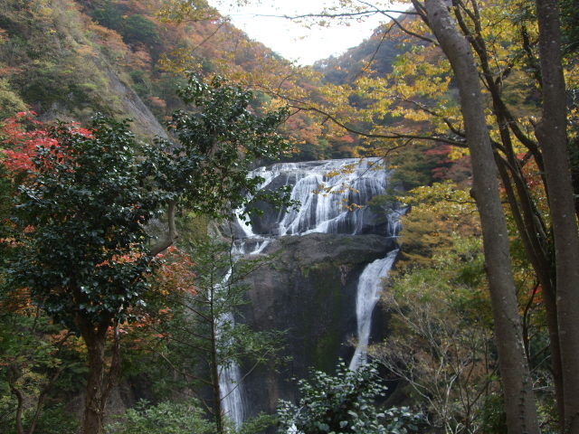 f:id:dohgen:20121107110310j:image:w360 f:id:dohgen:20121107110310j:image:w360