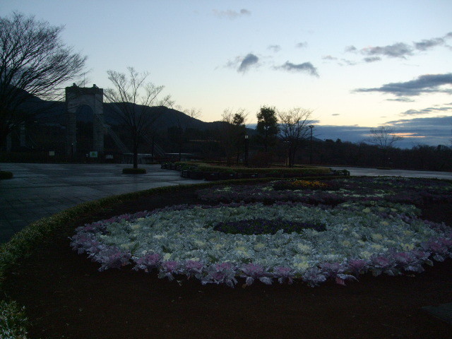 f:id:dohgen:20121229063740j:image:w360