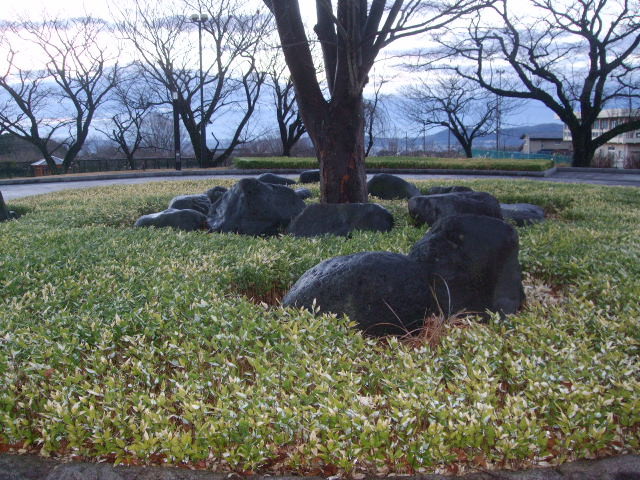 f:id:dohgen:20121229063832j:image:w360