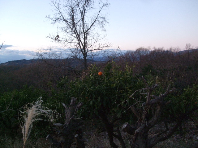 f:id:dohgen:20130104063320j:image:w360