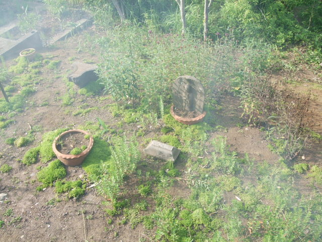 f:id:dohgen:20130531152251j:image:w360 f:id:dohgen:20130531152251j:image:w360