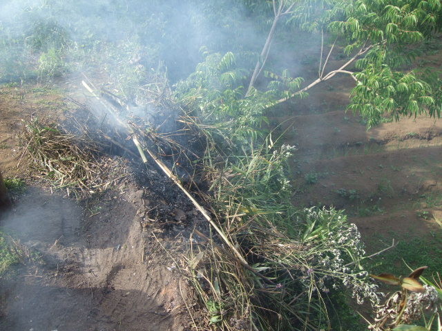 f:id:dohgen:20130531152335j:image:w360 f:id:dohgen:20130531152335j:image:w360