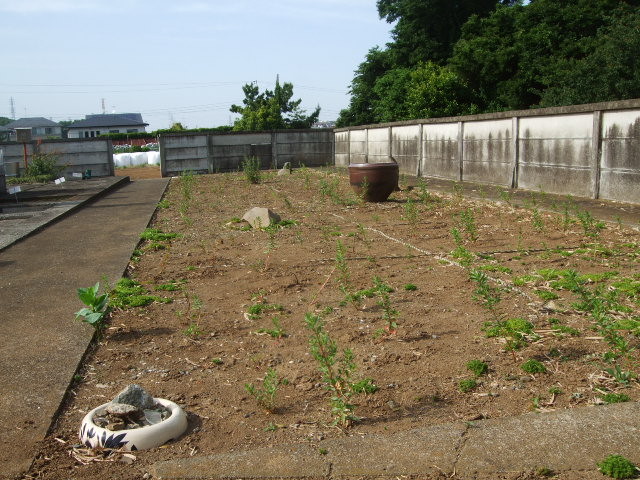 f:id:dohgen:20130531152635j:image:w360 f:id:dohgen:20130531152635j:image:w360