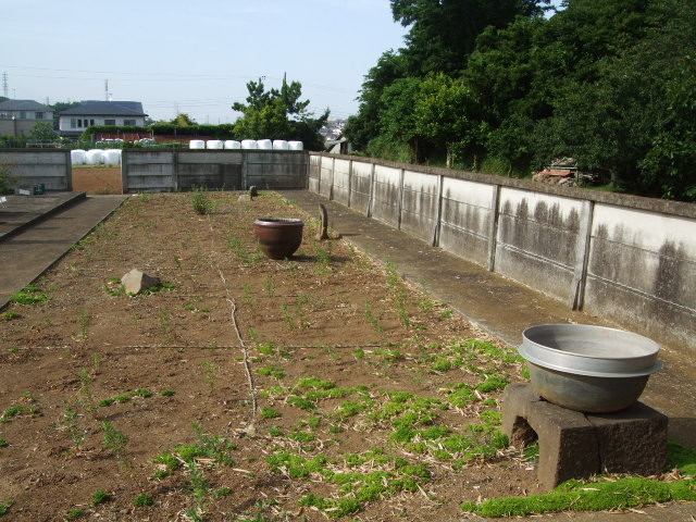 f:id:dohgen:20130531152653j:image:w360 f:id:dohgen:20130531152653j:image:w360