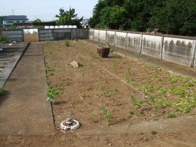 f:id:dohgen:20130531152659j:image:w360 f:id:dohgen:20130531152659j:image:w360
