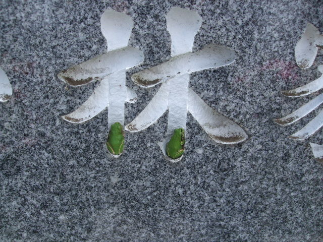 f:id:dohgen:20130602112802j:image:w360