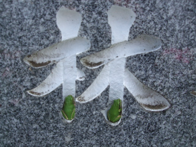 f:id:dohgen:20130602112807j:image:w360