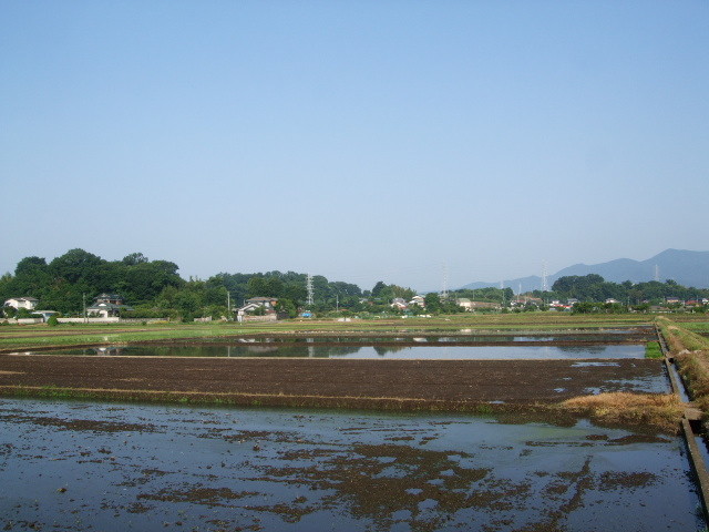 f:id:dohgen:20130604064115j:image:w360