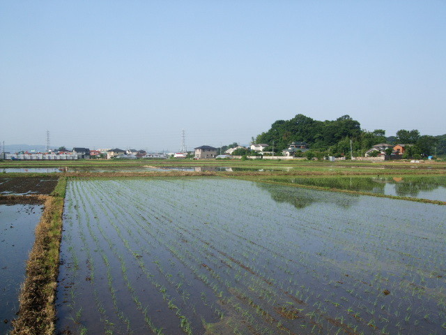 f:id:dohgen:20130604064225j:image:w360