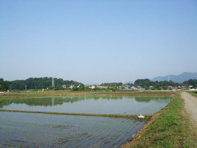 f:id:dohgen:20130604064229j:image:w360