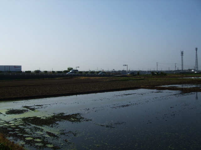 f:id:dohgen:20130604064234j:image:w360