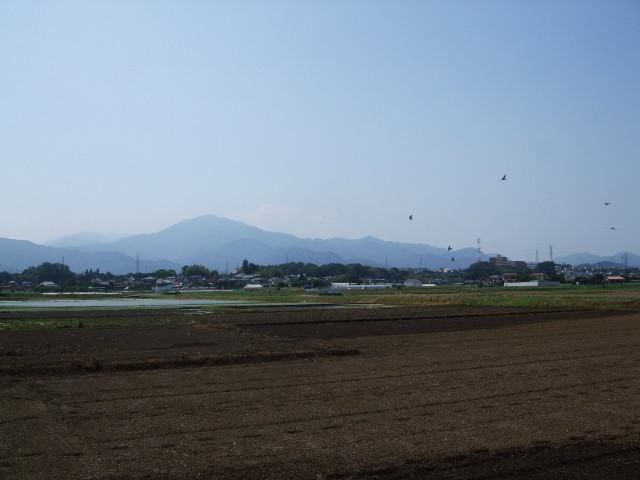 f:id:dohgen:20130604134127j:image:w360