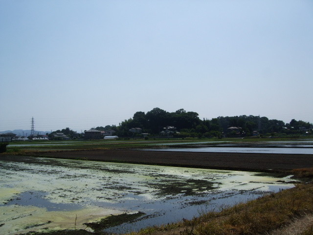 f:id:dohgen:20130604134131j:image:w360