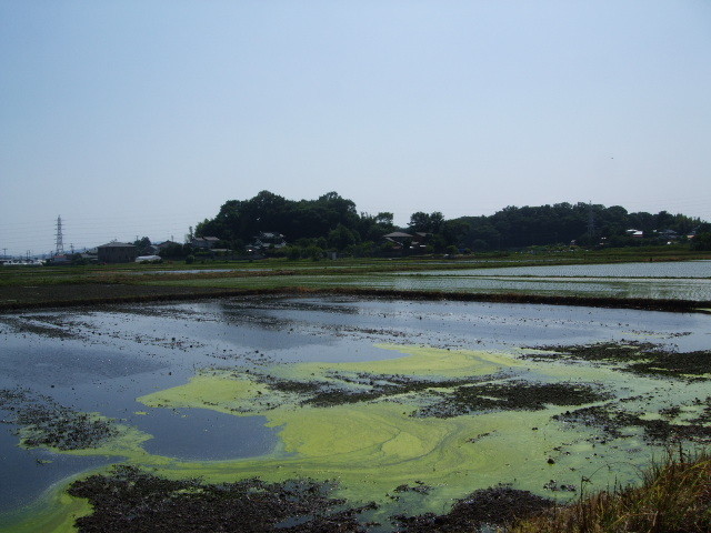 f:id:dohgen:20130604134318j:image:w360