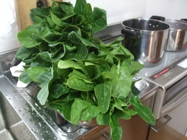 f:id:dohgen:20140114095840j:image:w360