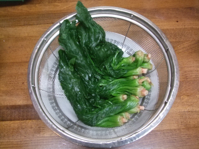 f:id:dohgen:20140114100654j:image:w360
