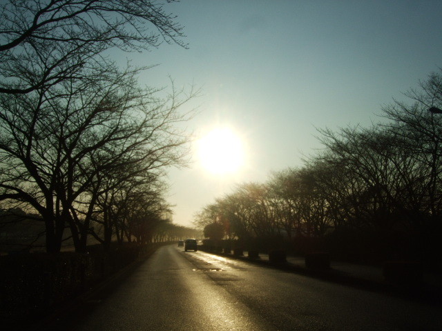 f:id:dohgen:20140122072417j:image:w360