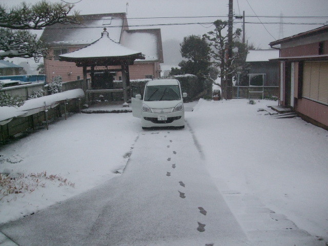 f:id:dohgen:20140208065336j:image:w360