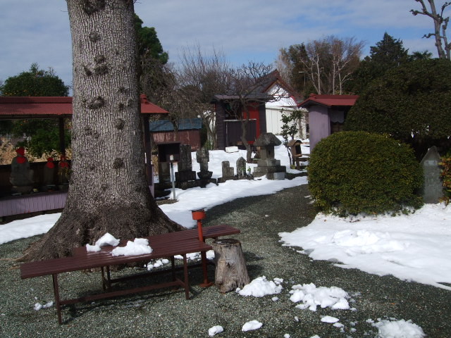 f:id:dohgen:20140209095807j:image:w360
