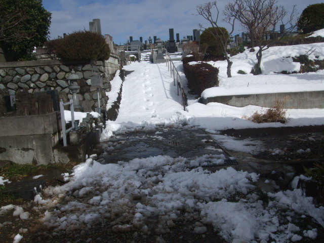 f:id:dohgen:20140209100026j:image:w360