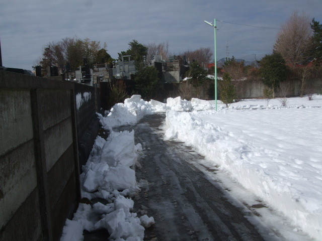 f:id:dohgen:20140209100309j:image:w360