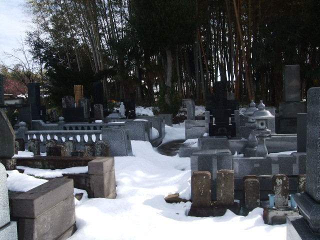 f:id:dohgen:20140209100408j:image:w360