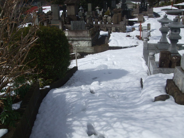 f:id:dohgen:20140209100422j:image:w360