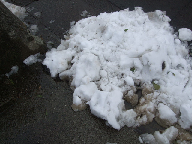 f:id:dohgen:20140209124127j:image:w360