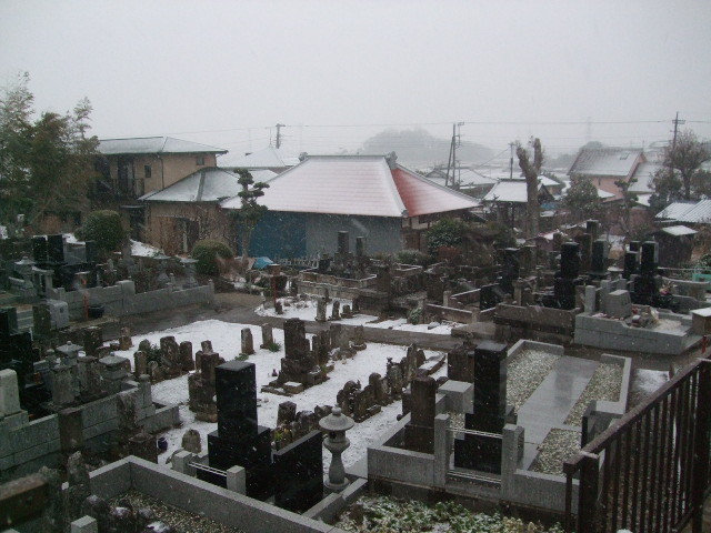 f:id:dohgen:20140214063619j:image:w360