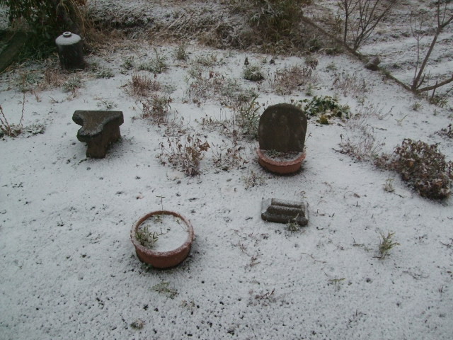 f:id:dohgen:20140214063638j:image:w360