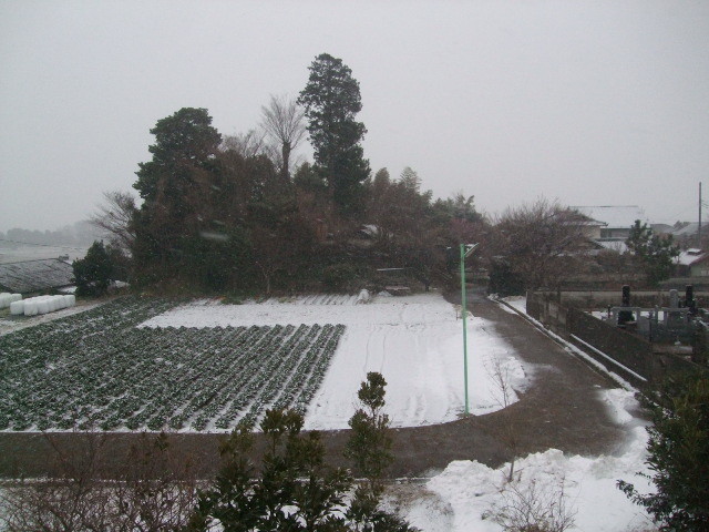 f:id:dohgen:20140214063644j:image:w360