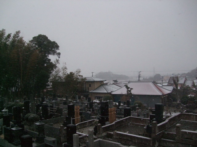 f:id:dohgen:20140214063701j:image:w360