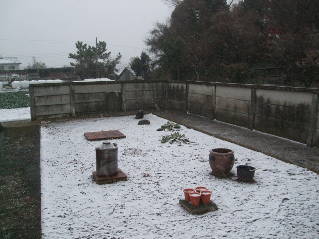 f:id:dohgen:20140214063810j:image:w360