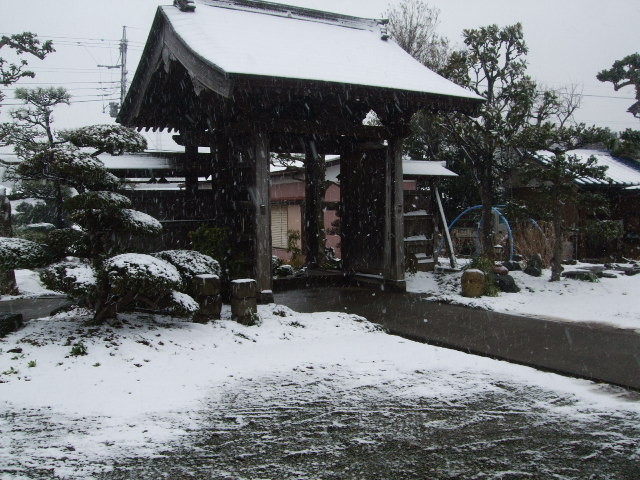 f:id:dohgen:20140214094929j:image:w360