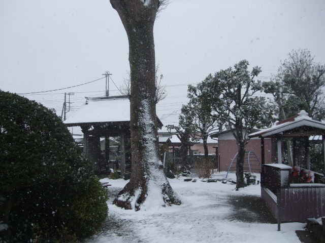 f:id:dohgen:20140214095116j:image:w360