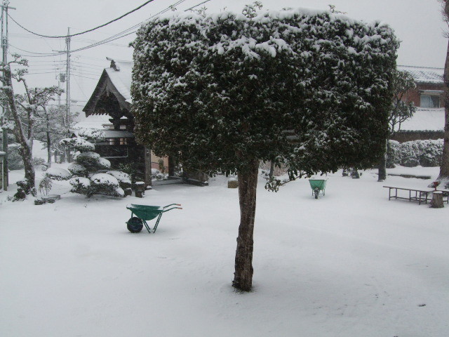 f:id:dohgen:20140214153333j:image:w360 f:id:dohgen:20140214153333j:image:w360