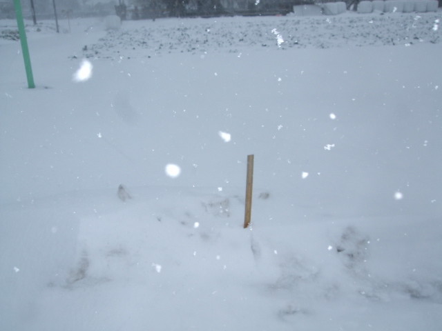 f:id:dohgen:20140214153844j:image:w360 f:id:dohgen:20140214153844j:image:w360