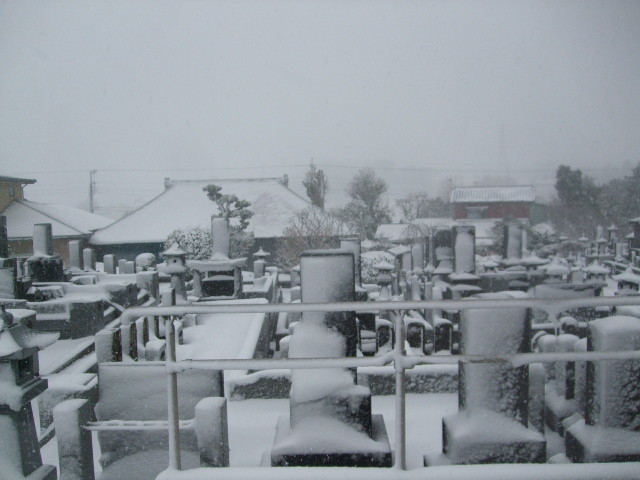 f:id:dohgen:20140214153917j:image:w360 f:id:dohgen:20140214153917j:image:w360