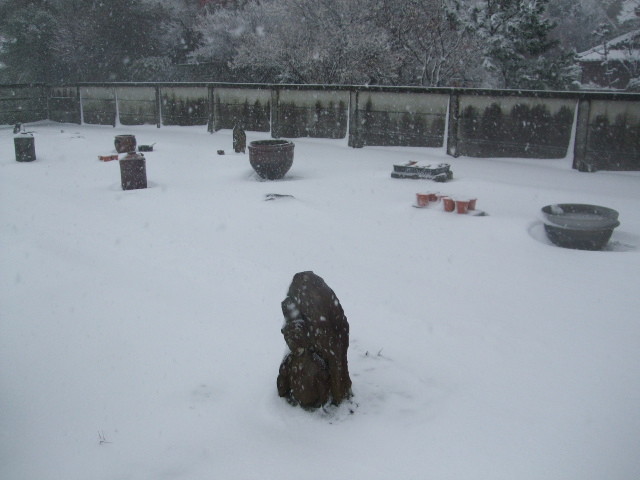 f:id:dohgen:20140214153936j:image:w360 f:id:dohgen:20140214153936j:image:w360