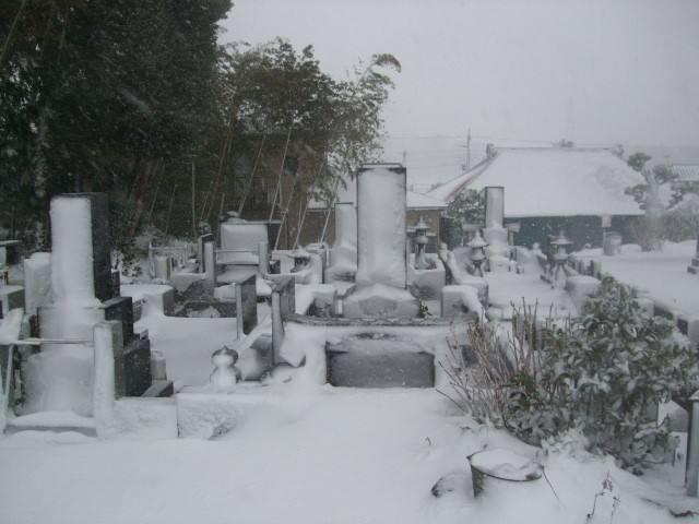f:id:dohgen:20140214153954j:image:w360 f:id:dohgen:20140214153954j:image:w360