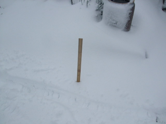 f:id:dohgen:20140214154006j:image:w360 f:id:dohgen:20140214154006j:image:w360