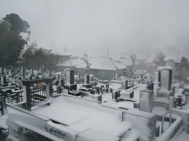 f:id:dohgen:20140214154145j:image:w360 f:id:dohgen:20140214154145j:image:w360