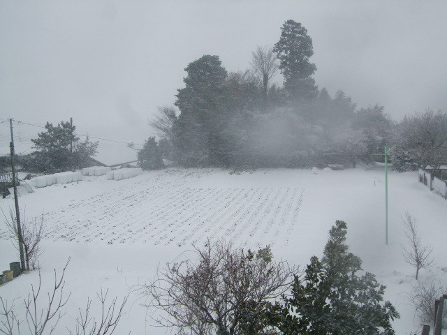 f:id:dohgen:20140214154158j:image:w360 f:id:dohgen:20140214154158j:image:w360