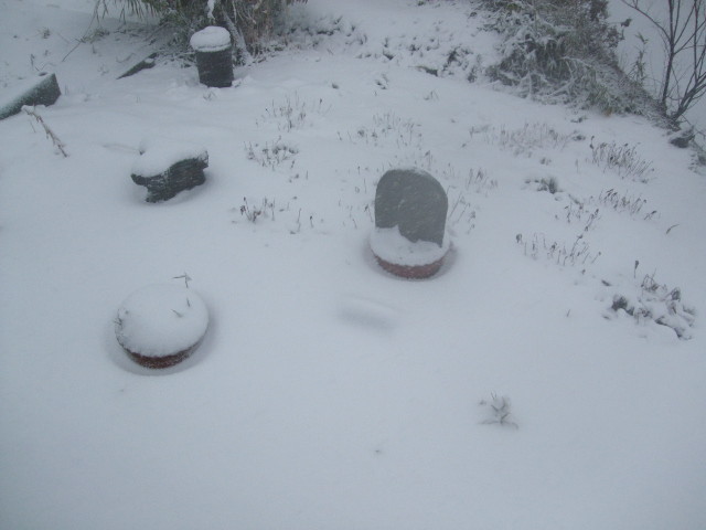 f:id:dohgen:20140214154211j:image:w360 f:id:dohgen:20140214154211j:image:w360