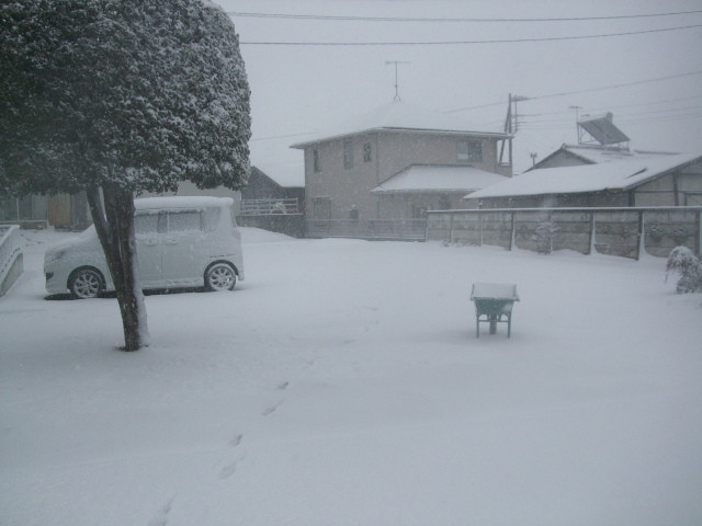 f:id:dohgen:20140214154426j:image:w360 f:id:dohgen:20140214154426j:image:w360