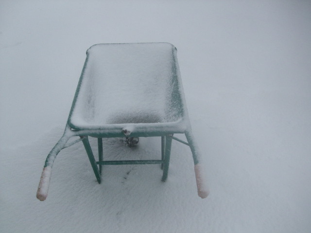 f:id:dohgen:20140214154440j:image:w360 f:id:dohgen:20140214154440j:image:w360