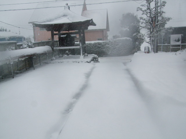 f:id:dohgen:20140214154516j:image:w360 f:id:dohgen:20140214154516j:image:w360
