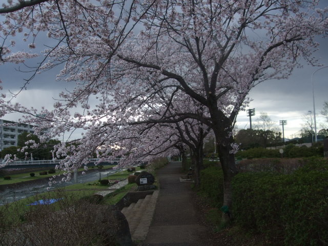 f:id:dohgen:20140405064000j:image:w360