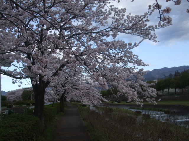 f:id:dohgen:20140405064005j:image:w360
