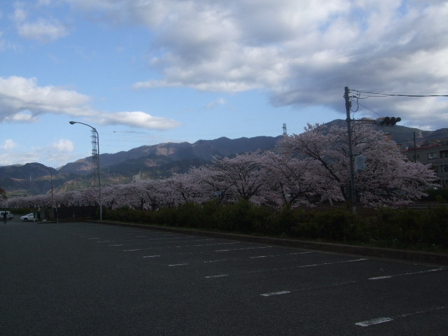 f:id:dohgen:20140405064553j:image:w360